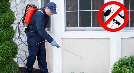 Tekkeköy Akrep İlaçlama böcek ilaçlama ve haşere kontrolü — ilaclama-tr.com